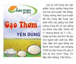 Xem toàn màn hình