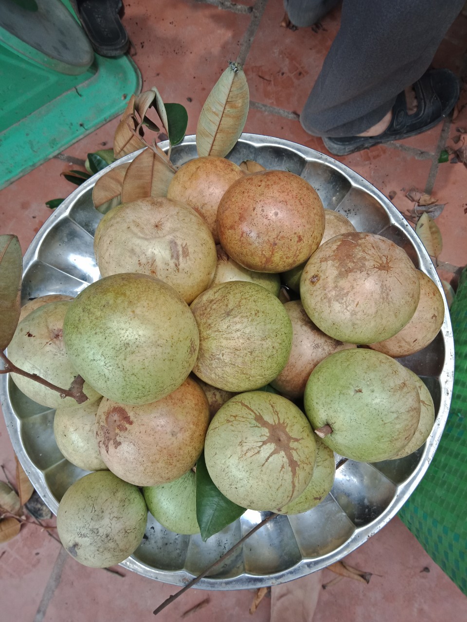 Xem toàn màn hình