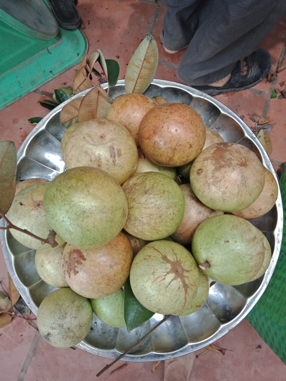 Xem toàn màn hình