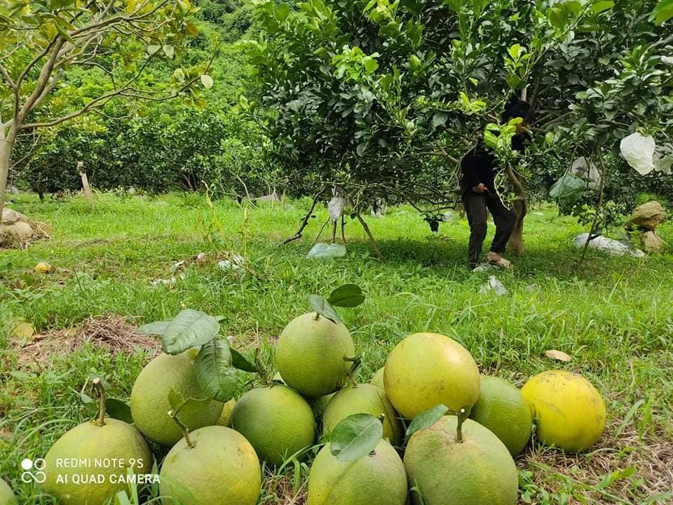 Xem toàn màn hình