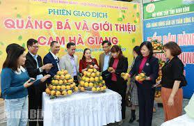 Đề nghị hỗ trợ kết nối, tiêu thụ sản phẩm cam tỉnh Hà Giang