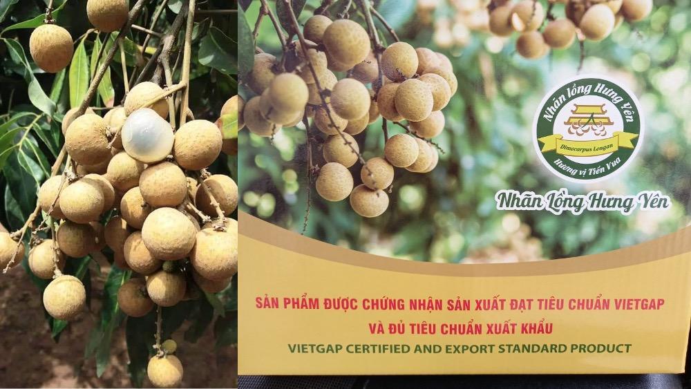 Tăng cường hỗ trợ tiêu thụ sản phẩm nhãn Hưng Yên