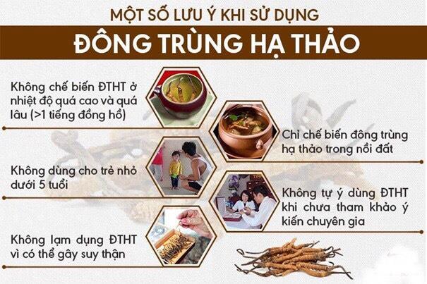 ĐÔNG TRÙNG HẠ THẢO QUẢ THỂ TƯƠI