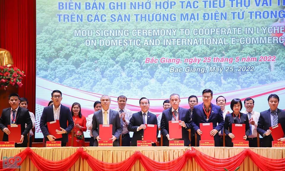 Bắc Giang: hội nghị xúc tiến tiêu thụ vải thiều mở rộng thị trường quốc tế năm 2022