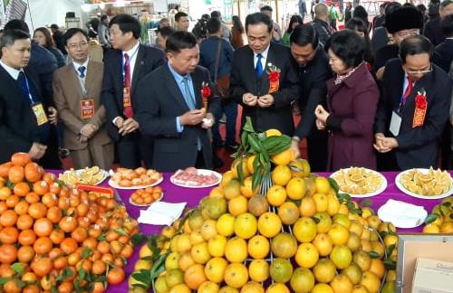 Lễ hội Cây ăn quả có múi tỉnh Hòa Bình, Hội chợ Nông nghiệp và sản phẩm OCOP khu vực phía Bắc năm 2019