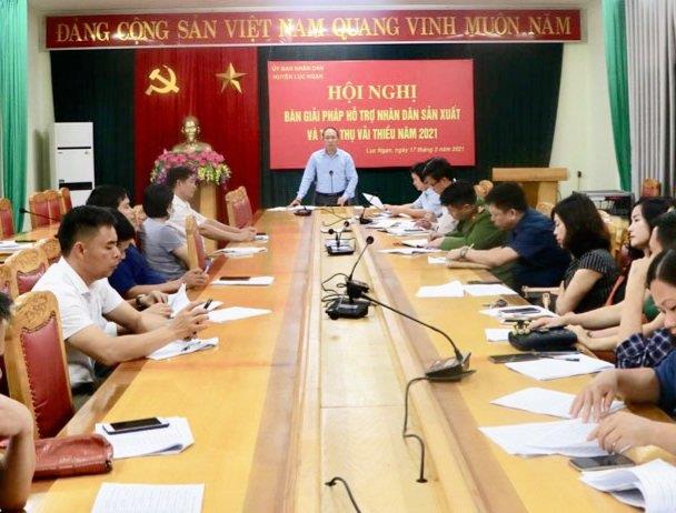     Lục Ngạn: Xây dựng kế hoạch tiêu thụ vải thiều năm 2021