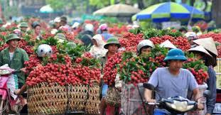 BÁO CÁO NHANH TÌNH HÌNH TIÊU THỤ VẢI THIỀU (Đến ngày 9/6/2016)