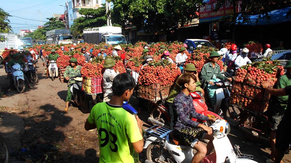 Phối hợp triển khai chương trình “Tuần lễ vải thiều Lục Ngạn, Tự hào nông sản Việt”