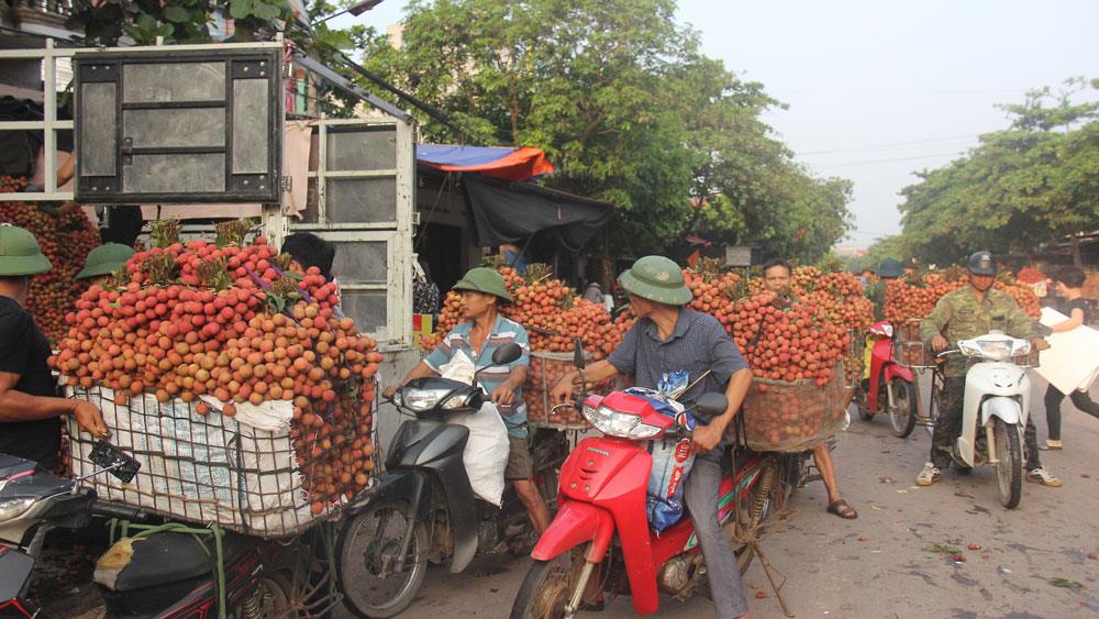 Thương nhân Trung Quốc đến Bắc Giang mua 4.000 tấn vải thiều chỉ trong 10 ngày