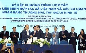 Hợp tác xã “khởi nghiệp” cần tăng cường tính liên kết