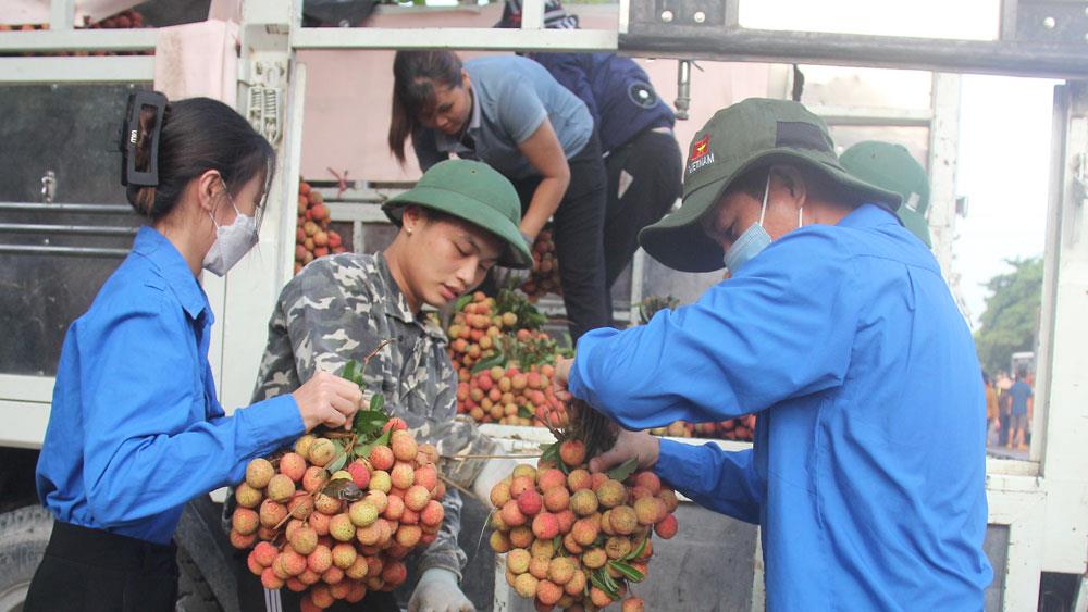 Bắc Giang tiếp tục triển khai công tác xúc tiến tiêu thụ vải thiều