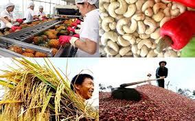 Xuất khẩu qua trung gian, nhiều nông sản Việt Nam bị đội giá gần gấp 2 lần