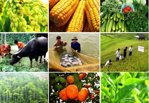 Hỗ trợ xúc tiến, kết nối tiêu thụ sản phẩm nông nghiệp, sản phẩm OCOP của tỉnh Lai Châu