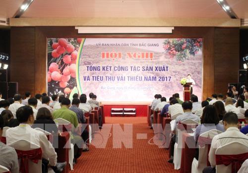 Bắc Giang- Hội nghị Tổng kết công tác sản xuất và tiêu thụ vải thiều năm 2017