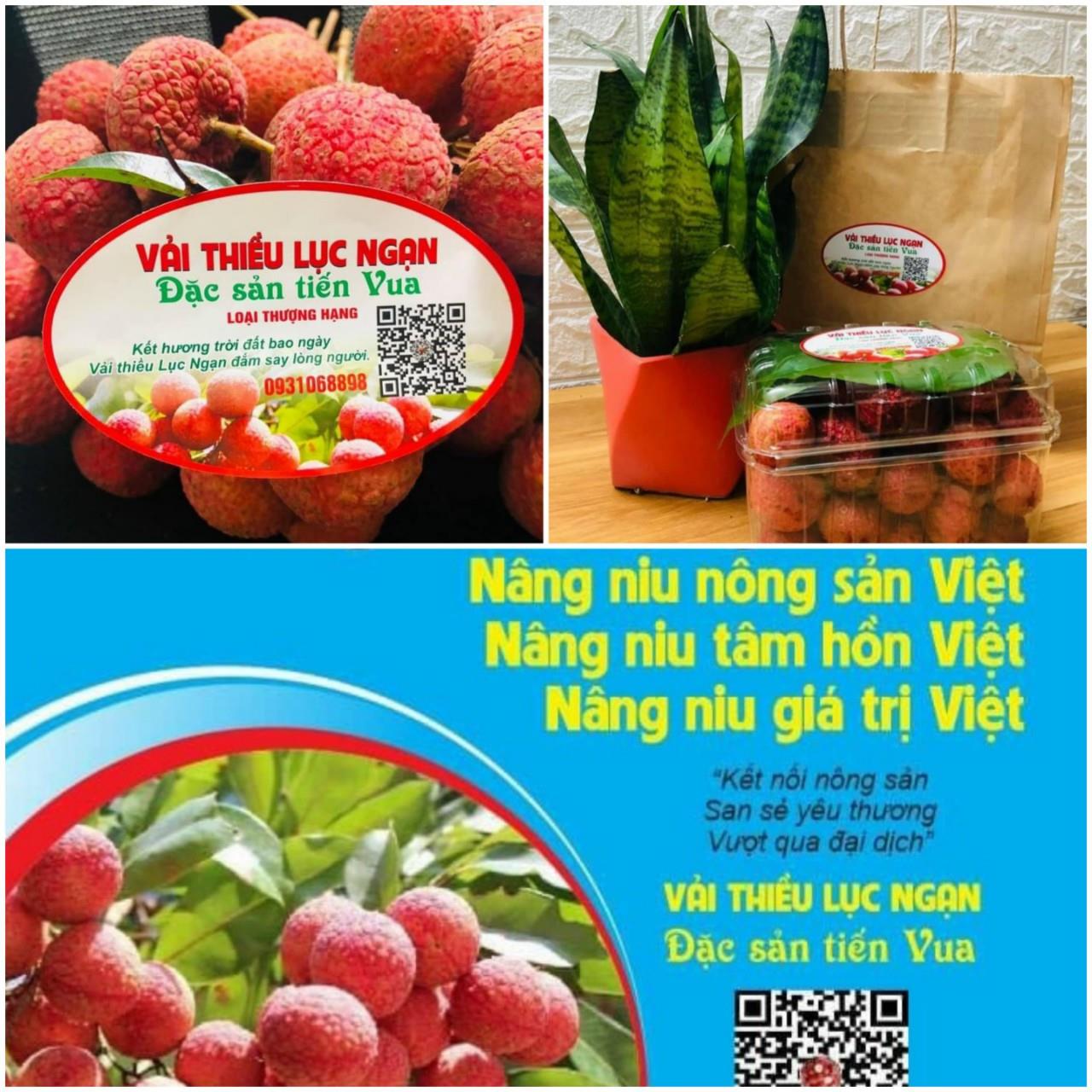 VÙNG VẢI THIỀU BẮC GIANG ĐƯỢC MÃ SỐ HÓA   