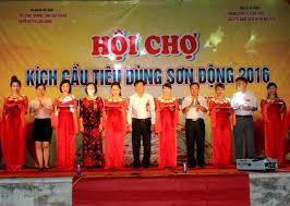 HỘI CHỢ XUÂN SƠN ĐỘNG 2018