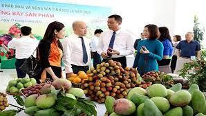  Hỗ trợ quảng bá, kết nối tiêu thụ sản phẩm xoài, nhãn của tỉnh Sơn La