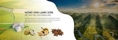 Hỗ trợ, kết nối tiêu thụ sản phẩm nông sản tỉnh Lạng Sơn