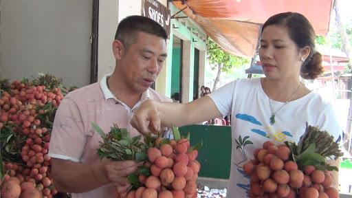 Đã có nhiều thương nhân Trung Quốc đăng ký sang thu mua vải thiều Lục Ngạn năm 2021