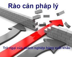 QUY ĐỊNH THỦ TỤC NHẬP KHẨU, RÀO CẢN THƯƠNG MẠI, KỸ THUẬT TẠI NHẬT BẢN