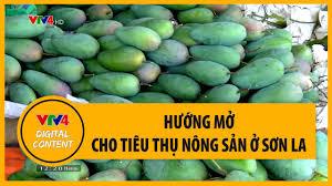 Hỗ trợ tiêu thụ sản phẩm nông sản tỉnh Sơn La