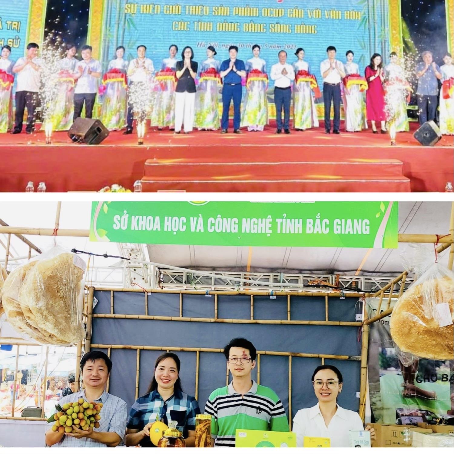 Bắc Giang tham gia Sự kiện giới thiệu sản phẩm OCOP gắn với văn hóa các tỉnh Đồng bằng sông Hồng năm 2025