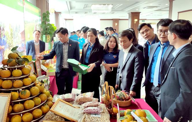 Đề nghị hỗ trợ kết nối, tiêu thụ sản phẩm OCOP tỉnh Tuyên Quang