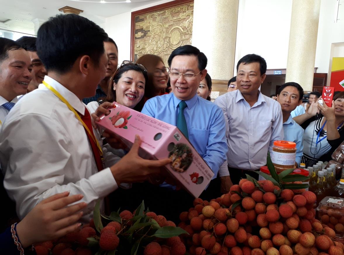 Hiệu quả hoạt động hỗ trợ thiết kế mẫu mã tem, nhãn mác, bao bì đóng gói sản phẩm cho cơ sở công nghiệp nông thôn