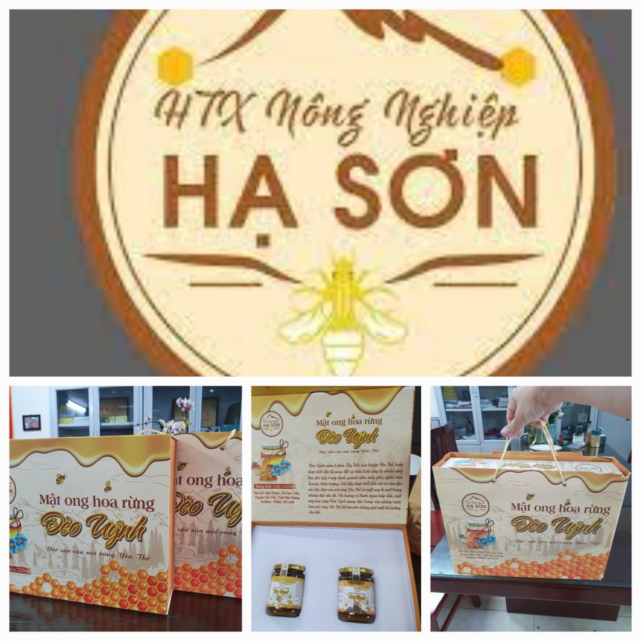  Mật ong Đèo Uỷnh - Hợp tác xã Nông nghiệp Hạ Sơn Yên Thế