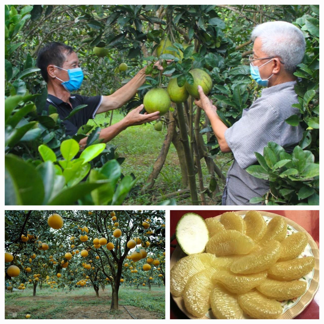 BƯỞI QUANG THỊNH