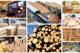 Giải pháp phát triển nhanh và bền vững ngành công nghiệp chế biến gỗ và lâm sản ngoài gỗ phục vụ xuất khẩu