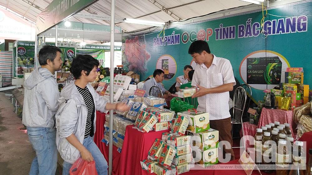 Bắc Giang có 20 sản phẩm tham gia Lễ hội cây ăn quả có múi tỉnh Hòa Bình, Hội chợ nông nghiệp và sản phẩm OCOP khu vực phía Bắc”