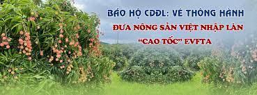 Chỉ dẫn địa lý “Giấy thông hành” cho sản phẩm Việt   vào thị trường khó tính