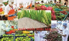 Thúc đẩy các mặt hàng nông sản, hoa quả Việt Nam vào thị trường Trung Quốc
