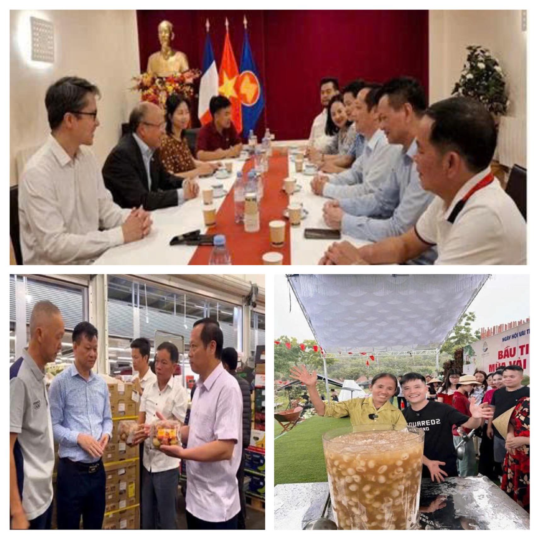 Bắc Giang đẩy mạnh quảng bá Vải thiều Lục Ngạn đa dạng qua các kênh truyền thông và du lịch trải nghiệm