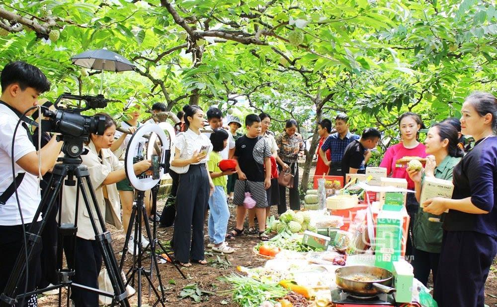 Mời doanh nghiệp, hợp tác xã tham gia chương trình đào tạo miễn phí về xây dựng kênh và livestream bán hàng nông sản online