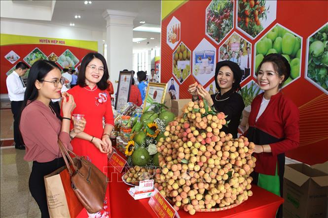 Bắc Giang: Ban hành Kế hoạch tổ chức xúc tiến tiêu thụ vải thiều và các nông sản chủ lực, đặc trưng tỉnh Bắc Giang năm 2022