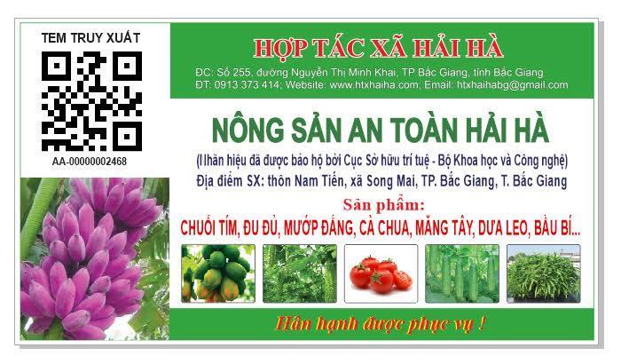 Khai trương cửa hàng nông sản an toàn