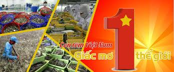 2 tháng đầu năm 2020, Việt Nam tăng xuất khẩu tôm sang Mỹ