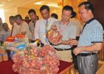 Nâng tầm thương hiệu nông sản Bắc Giang