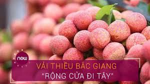 Vải thiều Bắc Giang bán tại Trung Quốc giá 70.000 - 110.000 đồng/kg