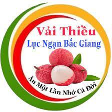 Thông tin doanh nghiệp kết nối giao thương sản xuất và tiêu thụ vải thiều năm 2022