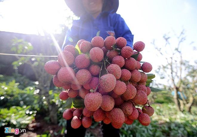  BÁO CÁO  TÌNH HÌNH SẢN XUẤT VÀ TIÊU THỤ VẢI THIỀU NĂM 2017 (Đến ngày 14/7/2017)