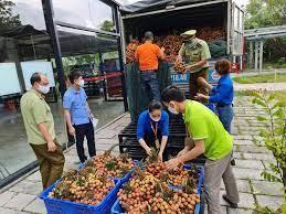 Tăng cường công tác tuyên truyền bảo đảm vải thiều an toàn, không bị nhiễm Covid-19 trong hoạt động xuất khẩu sang Trung Quốc