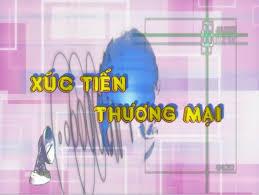 KẾT QUẢ TRIỂN KHAI CÔNG TÁC QUẢN LÝ NHÀ NƯỚC  ĐỐI VỚI HOẠT ĐỘNG XÚC TIẾN NĂM 2017