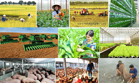 Tình hình nông nghiệp EU và các biện pháp hỗ trợ nông nghiệp liên quan đến COVID-19 của EU